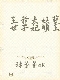 王爷太妖孽绝宠世子妃明玉珑