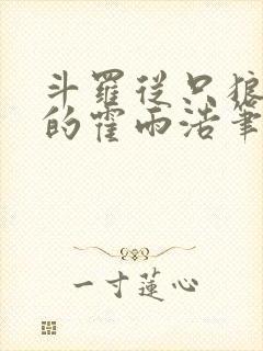 斗罗从只狼归来的霍雨浩笔趣阁