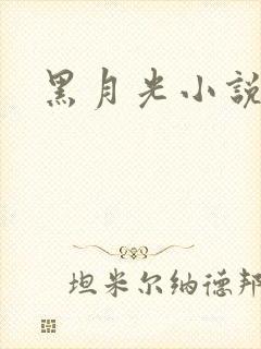 黑月光小说