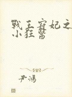 战王宠妃之倾世小狂医