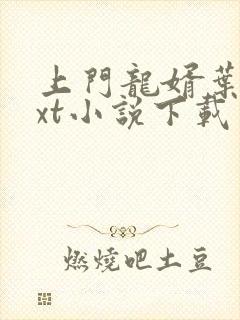 上门龙婿叶辰txt小说下载封面