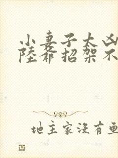 小妻子太凶了,陆爷招架不住了封面