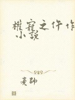 权宠之仵作医妃 小说