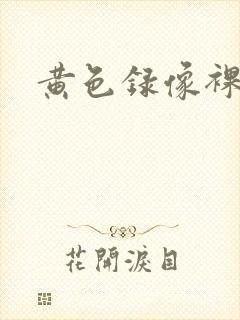 黄色录像裸体片封面