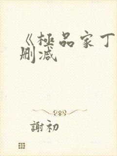 《极品家丁》无删减