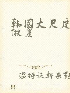 韩国大尺度床戏做爰