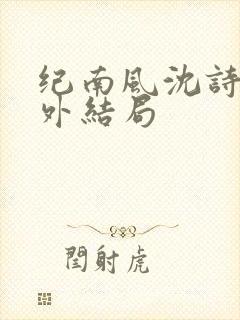 纪南风沈诗澜番外结局