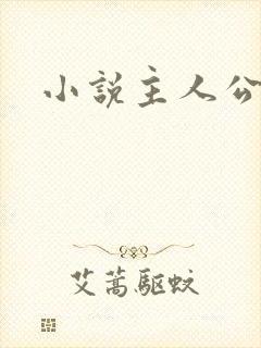 小说主人公林哲封面