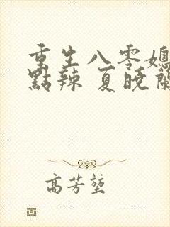 重生八零媳妇有点辣 夏晓兰封面