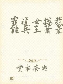 霸道女总裁的全能兵王萧晨