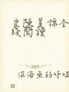 良陈美锦全文在线阅读