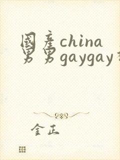 国产china男男gaygay视频封面
