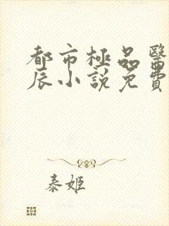 都市极品医神叶辰小说免费阅读