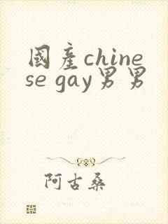 国产chinese gay男男