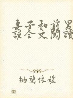 妻子和前男友小说全文阅读封面