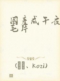 国产成午夜高潮毛片封面