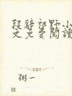 段辞祁野小说全文免费阅读最新