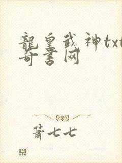 龙皇武神txt奇书网