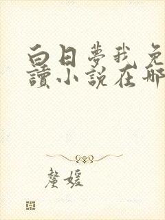 白日梦我免费阅读小说在哪里可以看封面