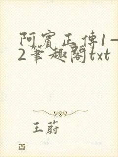 阿宾正传1—72笔趣阁txt