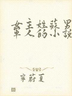 女主姓苏男主是军人的小说