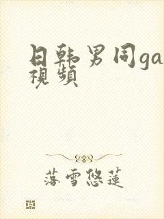 日韩男同gay视频