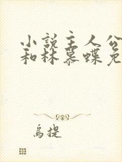 小说主人公周平和林慕蝶免费阅读