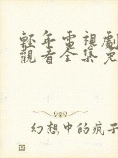 轻年电视剧在线观看全集免费播放高清