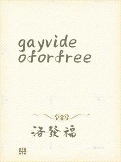 gayvideoforfree