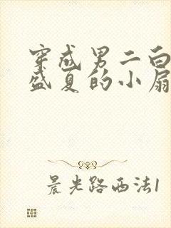 穿成男二白月光盛夏的小扇