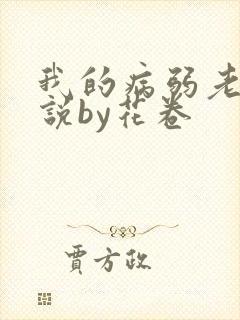 我的病弱老婆小说by花卷
