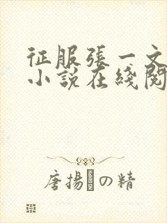 征服张一文主角小说在线阅读最新章节