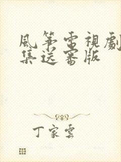 风筝电视剧51集送审版封面