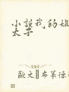 小说我的姐夫是太子