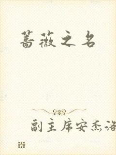 蔷薇之名封面