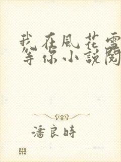 我在风花雪月里等你小说阅读