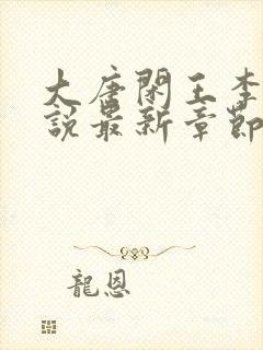 大唐闲王李慎小说最新章节列表