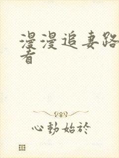 漫漫追妻路免费看