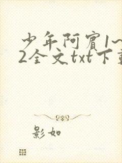 少年阿宾1~72全文txt下载