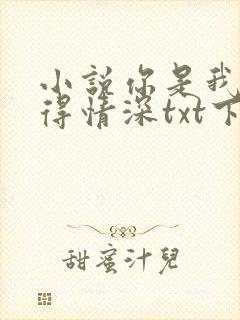 小说你是我的难得情深txt下载