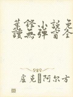 叶锋小说免费阅读无弹窗全文