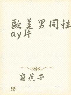 欧美男同性恋gay片