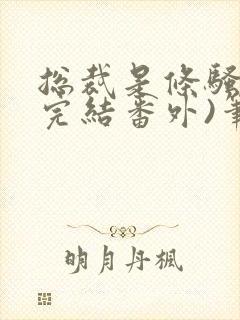 总裁是条骚狗(完结番外)笔趣阁小说