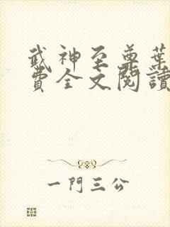 武神至尊叶风免费全文阅读无弹窗