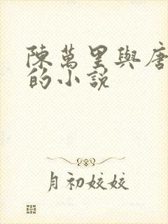 陈万里与唐嫣然的小说