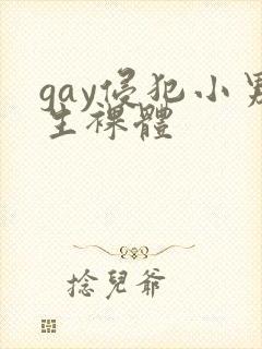 gay侵犯小男生裸体