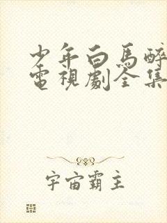 少年白马醉春风电视剧全集免费观