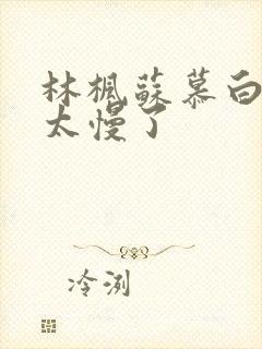 林枫苏慕白更新太慢了封面