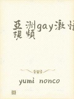 亚洲gay激情视频