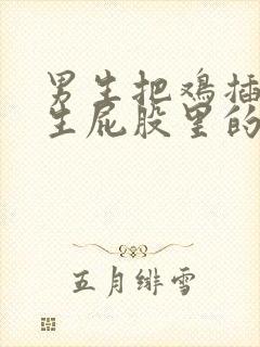 男生把鸡插入女生屁股里的视频